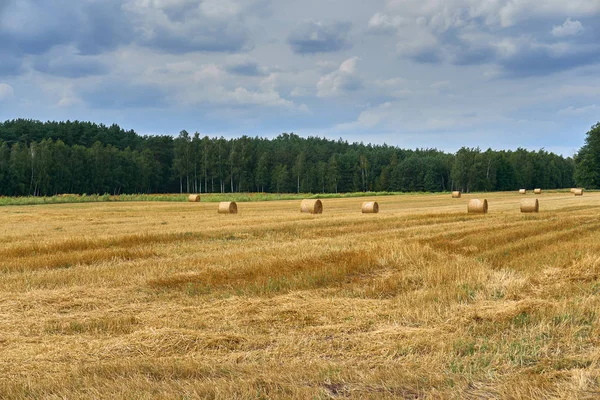 Stacks de paille et de foin sur le champ de blé en Pologne, fin de l'été — Photo