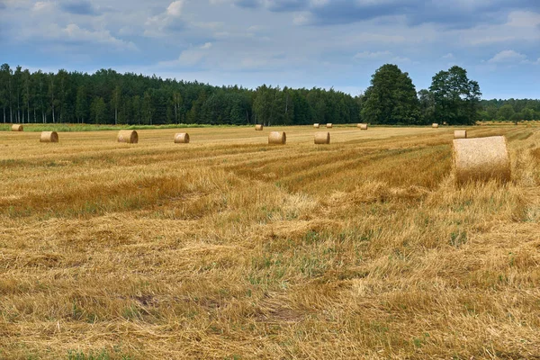 Stacks de paille et de foin sur le champ de blé en Pologne, fin de l'été — Photo