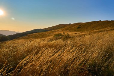 Gün batımı. Güzel panoramik Bieszczady Dağlar erken sonbaharda, Bieszczady Milli Parkı (Lehçe: Bieszczadzki Park Narodowy), Polonya.
