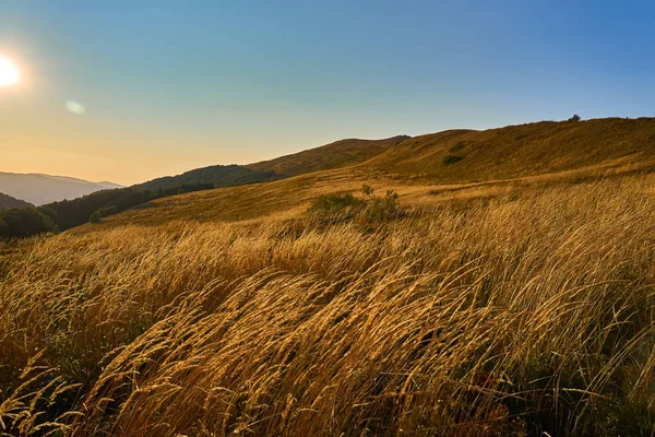 Gün batımı. Güzel panoramik Bieszczady Dağlar erken sonbaharda, Bieszczady Milli Parkı (Lehçe: Bieszczadzki Park Narodowy), Polonya.