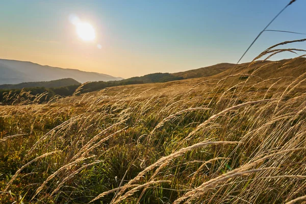 Gün batımı. Güzel panoramik Bieszczady Dağlar erken sonbaharda, Bieszczady Milli Parkı (Lehçe: Bieszczadzki Park Narodowy), Polonya.