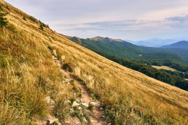 Güzel panoramik Bieszczady Dağlar erken sonbaharda, Bieszczady Milli Parkı (Lehçe: Bieszczadzki Park Narodowy), Polonya.