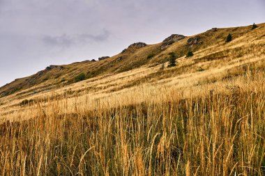 Güzel panoramik Bieszczady Dağlar erken sonbaharda, Bieszczady Milli Parkı (Lehçe: Bieszczadzki Park Narodowy), Polonya.