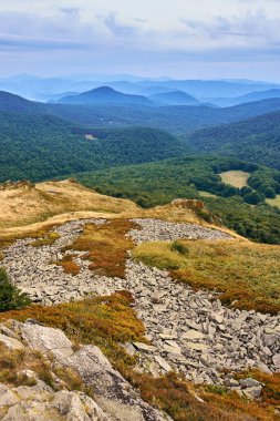 Güzel panoramik Bieszczady Dağlar erken sonbaharda, Bieszczady Milli Parkı (Lehçe: Bieszczadzki Park Narodowy), Polonya.