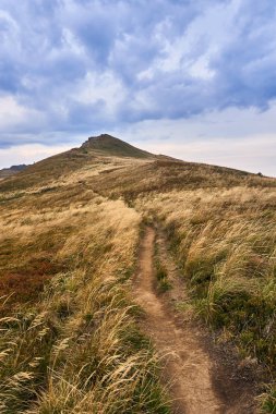 Güzel panoramik Bieszczady Dağlar erken sonbaharda, Bieszczady Milli Parkı (Lehçe: Bieszczadzki Park Narodowy), Polonya.
