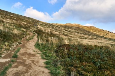Güzel panoramik Bieszczady Dağlar erken sonbaharda, Bieszczady Milli Parkı (Lehçe: Bieszczadzki Park Narodowy), Polonya.