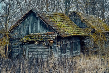 A terrible mysterious apocalyptic view: an abandoned house in the abandoned Belarusian Kovali (Belarusian: blacksmiths) village - no one lives here anymore clipart