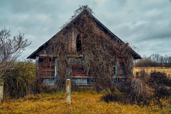 Hrozný tajemný apokalyptický pohled: opuštěný dům v opuštěné běloruské Kovali (běloruské: kováři) vesnici - nikdo zde už nebydlí — Stock fotografie