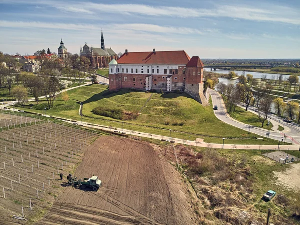 Beautiful panoramic aerial drone view to the Sandomierz Royal Castle - planting vines in the vineyard of St. Jakub - near the monastery and Church of St. Jakub in Sandomierz, Poland — Stock Photo, Image