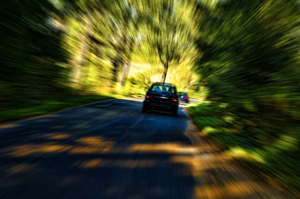 Hareket bulanıklığı - hızlı hareket eden bir araba dolambaçlı bir orman yolunda - büyüleyici güzel soyut manzara — Stok fotoğraf