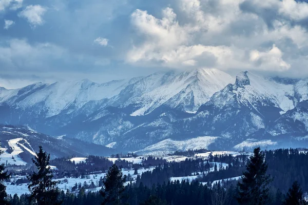 Vacker Panorama Antenn Drönare Utsikt Över Tatrabergen Tatras Tatra Bergskedja — Stockfoto