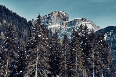 Beautiful panoramic view to the Sellaronda - the largest ski carousel in Europe - skiing the four most famous passes in the Dolomites, Italy; extraordinary snowy peaks of the dolomites, southern alps clipart