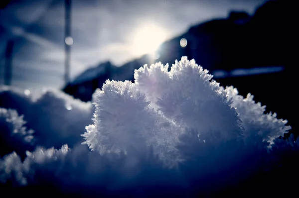 Beautiful Pattern Crystals Snow Ice Sun Winter — Stock Photo, Image