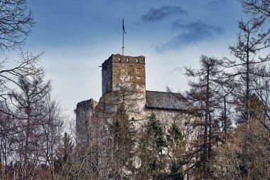 Polonya 'nın Niedzica, Nowy Targ County, Dunajec River, Czorsztyn Gölü, Pl' de yer alan ve Dunajec Kalesi olarak da bilinen Niedzica Kalesi 'ne güzel bir panoramik manzara.