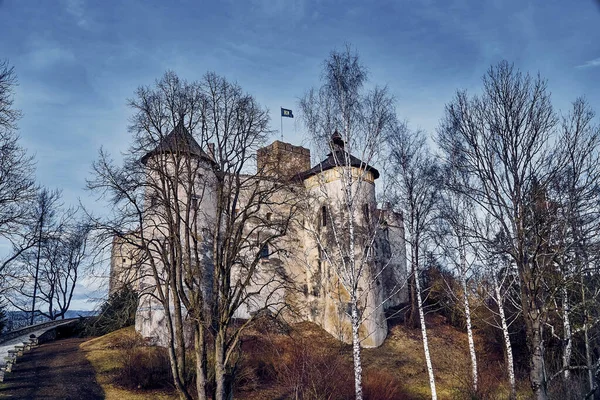 Bela Vista Panorâmica Para Castelo Niedzica Também Conhecido Como Castelo — Fotografia de Stock