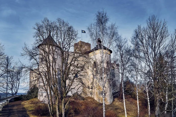 Bela Vista Panorâmica Para Castelo Niedzica Também Conhecido Como Castelo — Fotografia de Stock