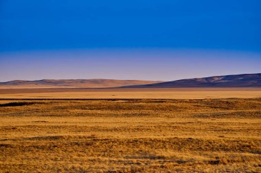 Panoramik manzara: güzel bahar manzarası: bahar aylarında büyük bozkır kış uykusundan uyanır - kar ve buz yeni erimiş, gün batımı, Kazakistan (Kazakistan))