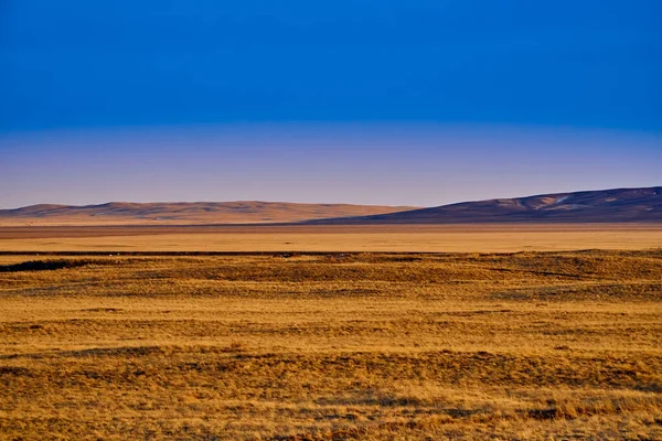 Panoramic view: beautiful spring landscape: spring huge great steppe wakes up from winter sleep - snow and ice just melted, sunset, Kazakhstan (Qazaqstan)