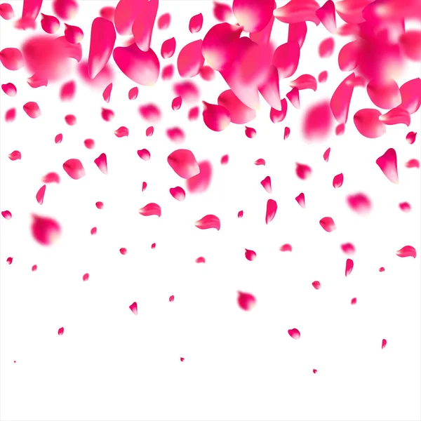 粉红色飘落的花瓣玫瑰。漂亮的花柔和纹理背景. — 图库矢量图片