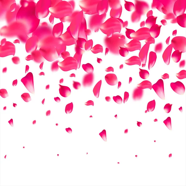 粉色花瓣飘落。 玫瑰花序背景. — 图库矢量图片
