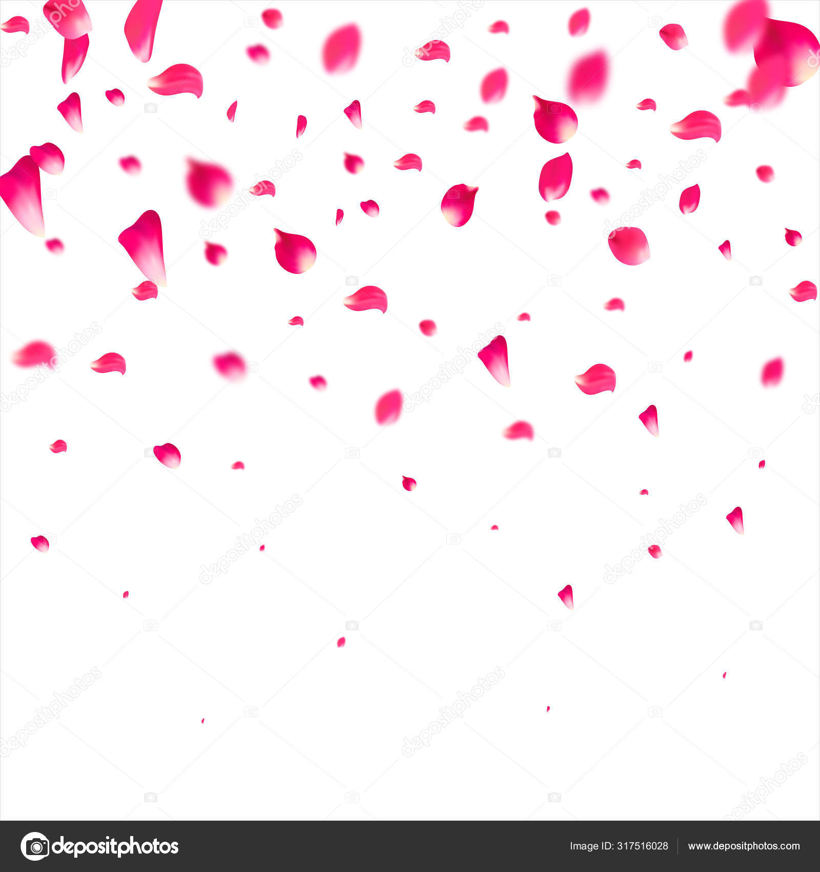 Pink Rose Petals Falling Background