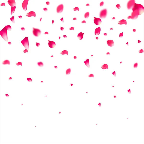 떨어지는 분홍색 꽃잎. 장미꽃 배경. — 스톡 벡터