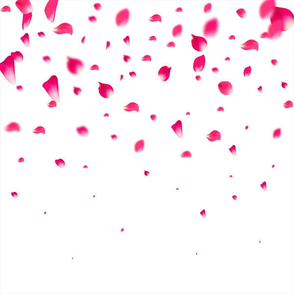Pembe yapraklar dökülüyor. Gül çiçeği pastel arka plan.