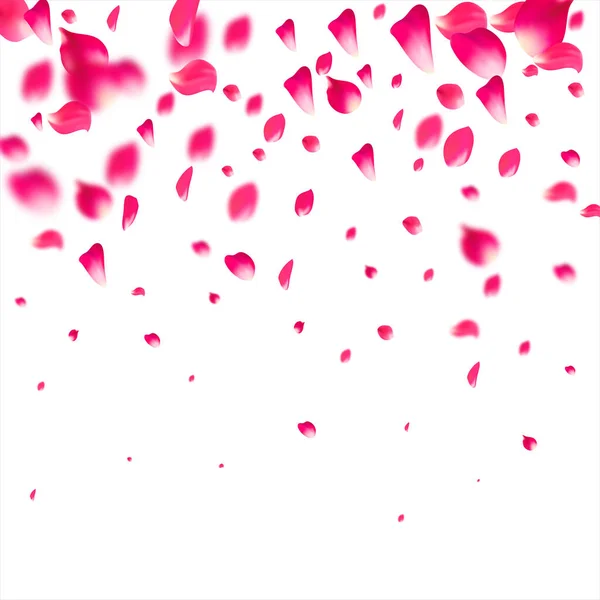 Pink falling petals isolated. Sakura flower pastel background. — Stock Vector