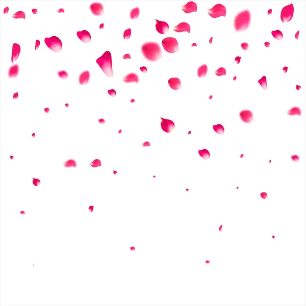 Pembe yapraklar dökülüyor. Gül çiçeği pastel arka plan.
