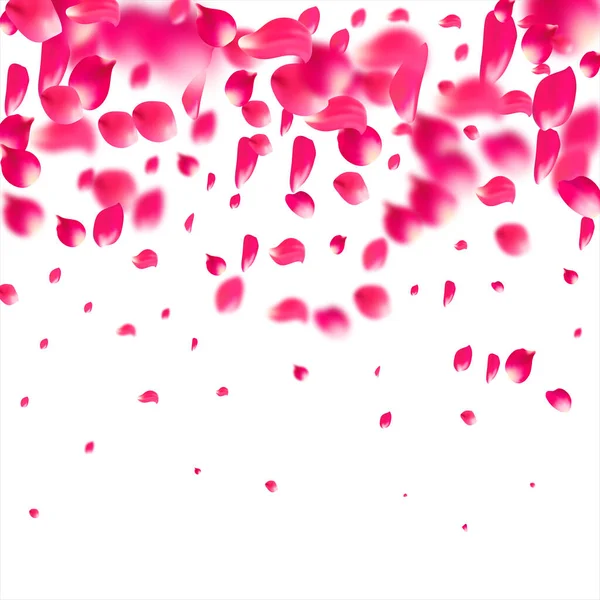 Pétalos rosados cayendo de rosas. Sakura flor pastel textura fondo . — Vector de stock