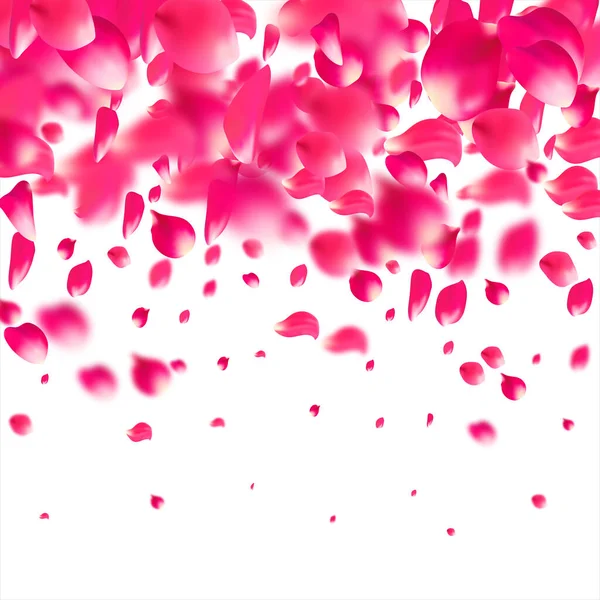 Pétalos rosados cayendo volando. Sakura flor pastel textura fondo . — Vector de stock