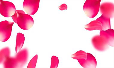 Pembe düşen gül yaprakları. Sakura çiçek pastel doku arka plan.