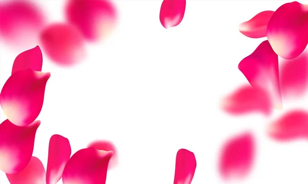 粉色花瓣飘落。 玫瑰花序背景. — 图库矢量图片