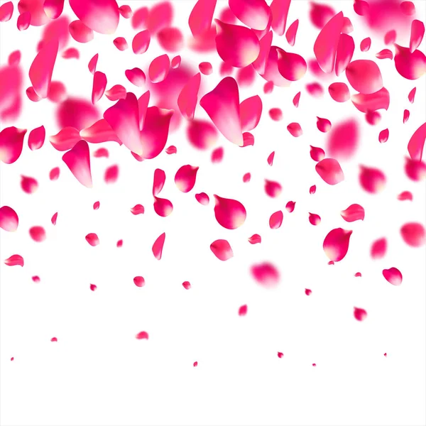 Pink padající okvětní lístky létají. Sakura květina pastelové textury pozadí. — Stockový vektor