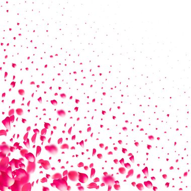 Pembe düşen gül yaprakları. Sakura çiçek pastel doku arka plan.