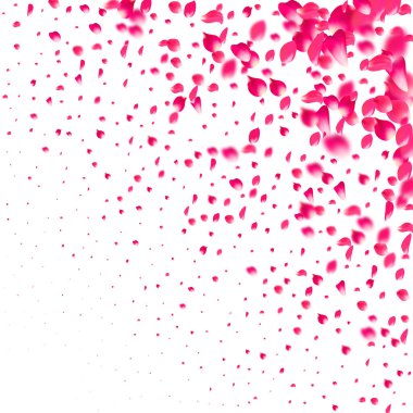 Pembe düşen gül yaprakları. Sakura çiçek pastel doku arka plan.