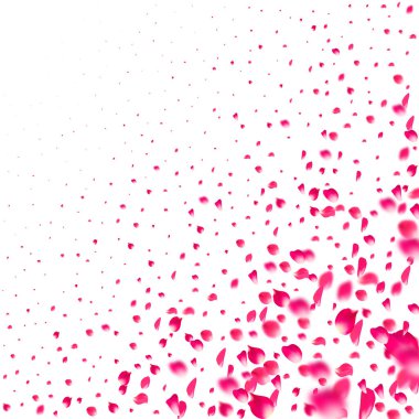 Pembe yapraklar uçuşuyor. Sakura çiçeği pastel doku arka planı.