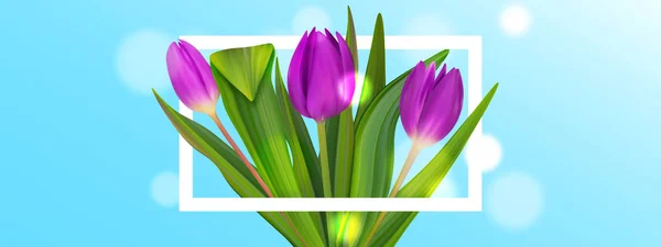 Hola folleto de tulipán de ramo de primavera. Linda pancarta de pastel. Fondo colorido . — Vector de stock