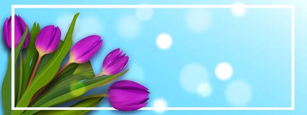 Hola mayo banner de tulipán primavera. Lindo banner colorido ramo. Mujeres bonito fondo . — Vector de stock