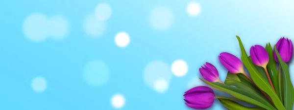 Hola folleto de tulipán de ramo de primavera. Linda pancarta de pastel. Fondo colorido . — Vector de stock