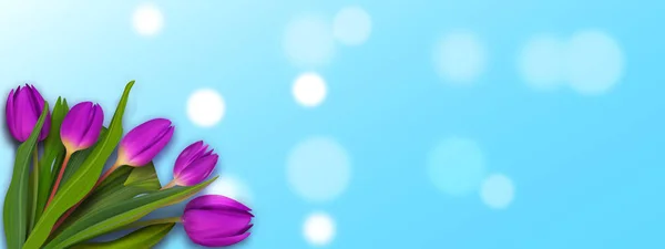 Ramo de tulipanes a banner de primavera. Folleto colorido fondo agradable . — Vector de stock