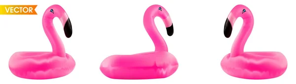 Flamingo white background isolated. Summer tropical bird. Realistic 3D float bird in vector. Float flamingo. — Stok Vektör