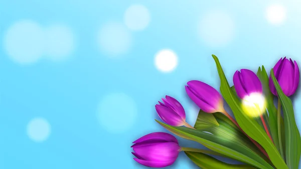 Olá Maio primavera banner tulipa. Buquê bonito bandeira colorida. Mulheres bom fundo . —  Vetores de Stock