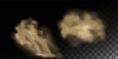 Sis kokusu, toz bulutu, toprakla kum kasırgası, parçacıklarla toz bulutu. Gerçekçi vektör toz veya toz parçacıkları ile şeffaf arkaplan hava izole.
