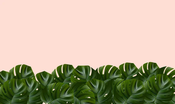 Bosque tropical. Selva fondo flor y palma. Ilustración floral vectorial. Selva tropical exótica selva verde brillante monstera hojas borde marco plantilla sobre fondo rosa . — Vector de stock