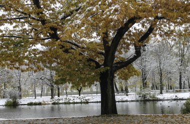 Kış günü park et.