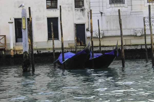 Gondolas on canal in Venice — Stock Photo, Image