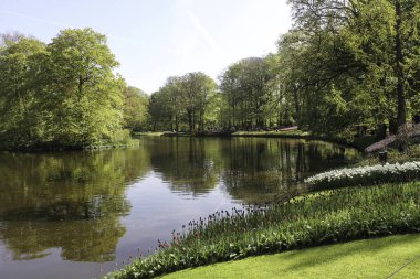 Keukenhof Çiçek Bahçesi