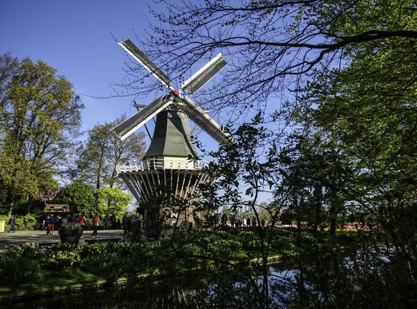 Κήπο λουλουδιών Keukenhof — Φωτογραφία Αρχείου