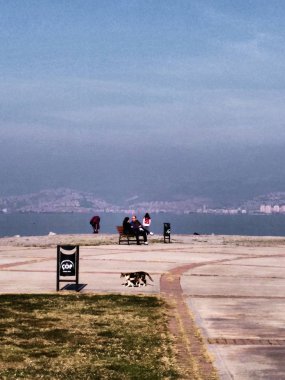 insanlar güneşli deniz kıyısında